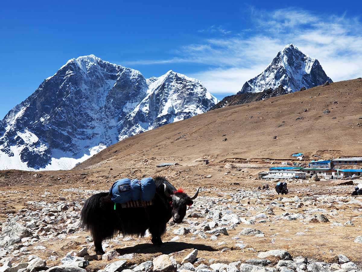 Nepal i Tybet – mistyczne wędrówki po Dachu Świata