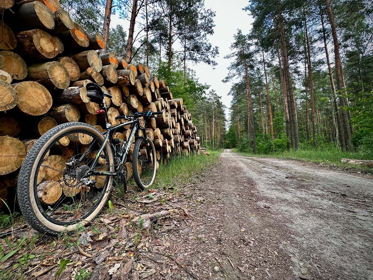 Leśną ścieżką blisko Oświęcimia