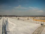 80. rocznica wyzwolenia. Program miejskich obchodów i wydarzeń towarzyszących