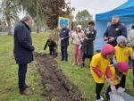 15 tysięcy żonkili zasadzonych w Oświęcimiu