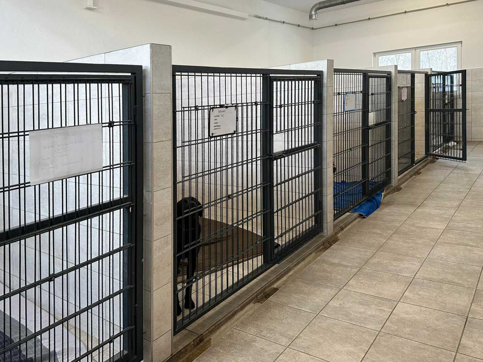 Schronisko dla bezdomnych zwierząt w Oświęcimiu - NaszOświęcim - informacje i wydarzenia. Schronisko dla bezdomnych zwierząt w Oświęcimiu