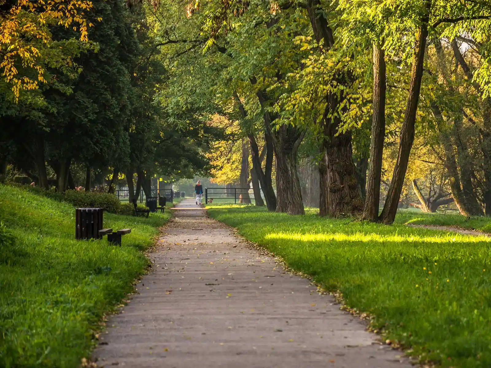 Oświęcim w projekcie LIFE DREAM CITIES – adaptacja małopolskich miast do zmian klimatu - NaszOświęcim - informacje i wydarzenia. Oświęcim w projekcie LIFE DREAM CITIES – adaptacja małopolskich miast do zmian klimatu