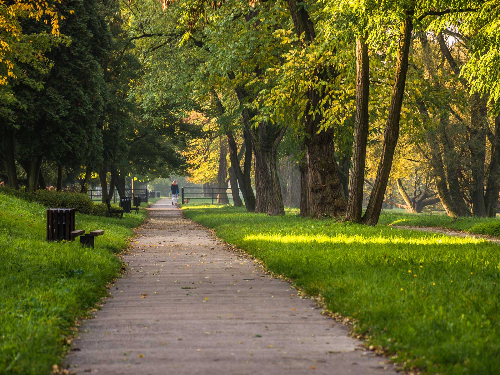 Bulwary nad Sołą w Oświęcimiu - NaszOświęcim - informacje i wydarzenia. Bulwary nad Sołą w Oświęcimiu