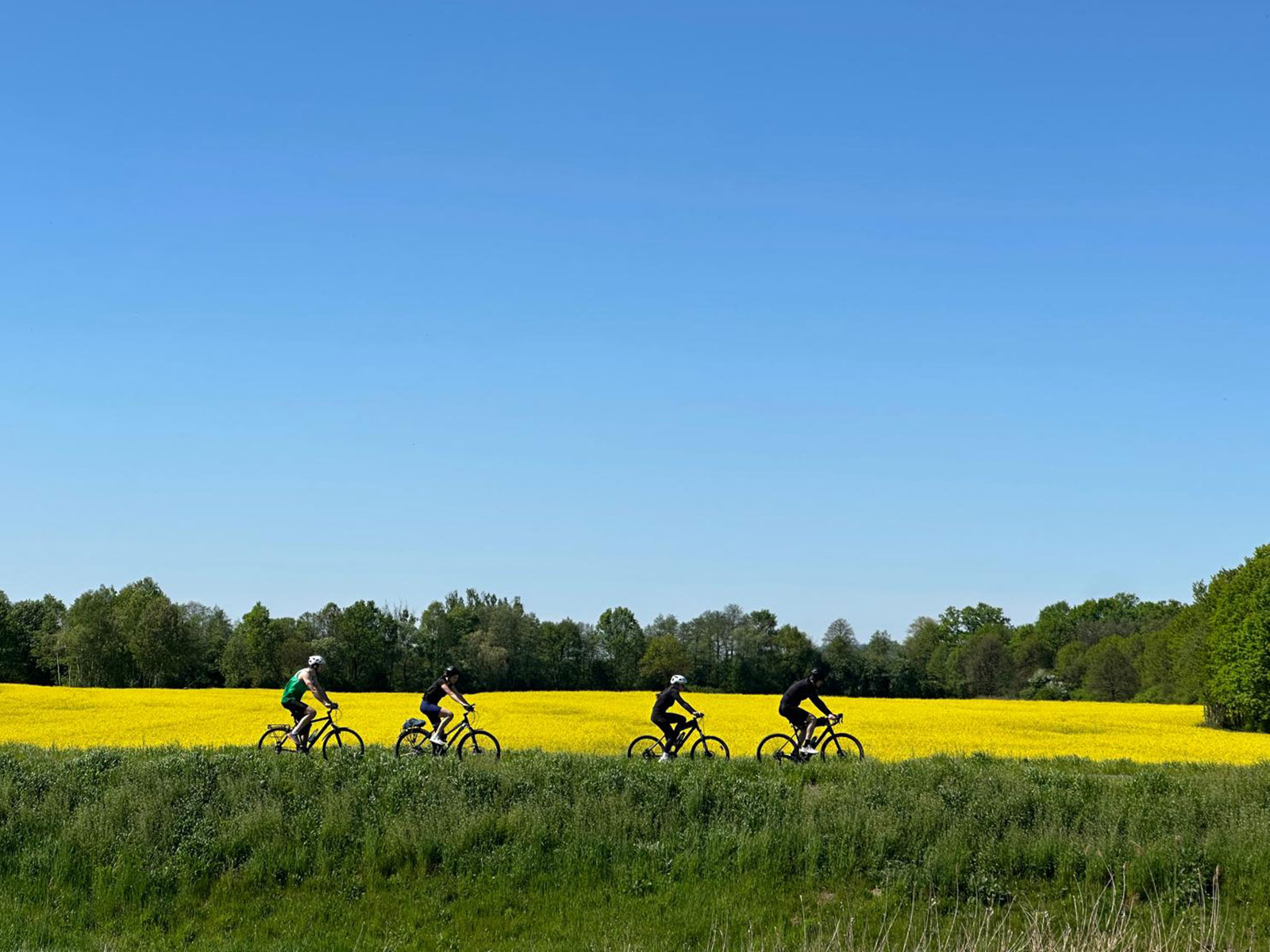 Trasy rowerowe Aglomeracja Oświęcimska – projekt rozbudowy gmina Oświęcim Chełmek 2026 - NaszOświęcim - informacje i wydarzenia. Trasy rowerowe Aglomeracja Oświęcimska – projekt rozbudowy gmina Oświęcim Chełmek 2026