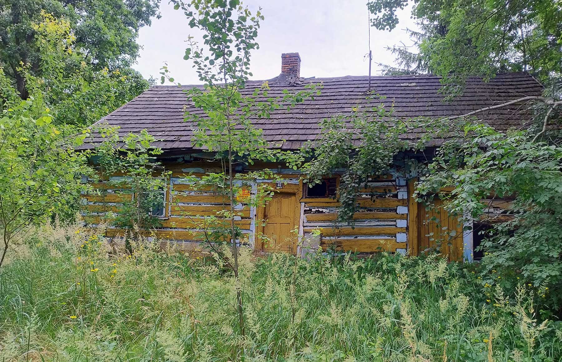 Wśród zarośli można dostrzec jeden z domów widocznych na karcie pocztowej. - NaszOświęcim - informacje i wydarzenia. Wśród zarośli można dostrzec jeden z domów widocznych na karcie pocztowej.
