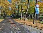 Hulajnogi elektryczne nie mogą jeździć po Bulwarach. Miasto przypomina o zakazie